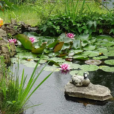 La Clef De Voute Amethyste Konukevi