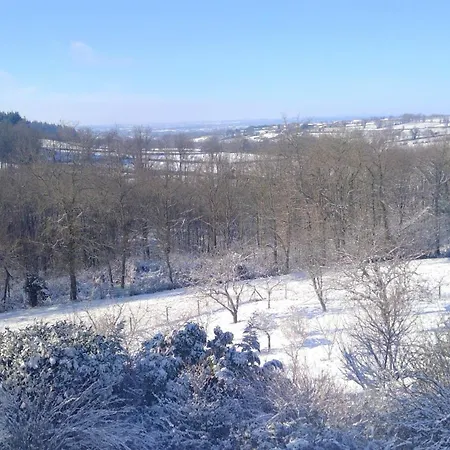 La Clef De Voute Amethyste *